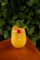 MyD Delivery Product Image